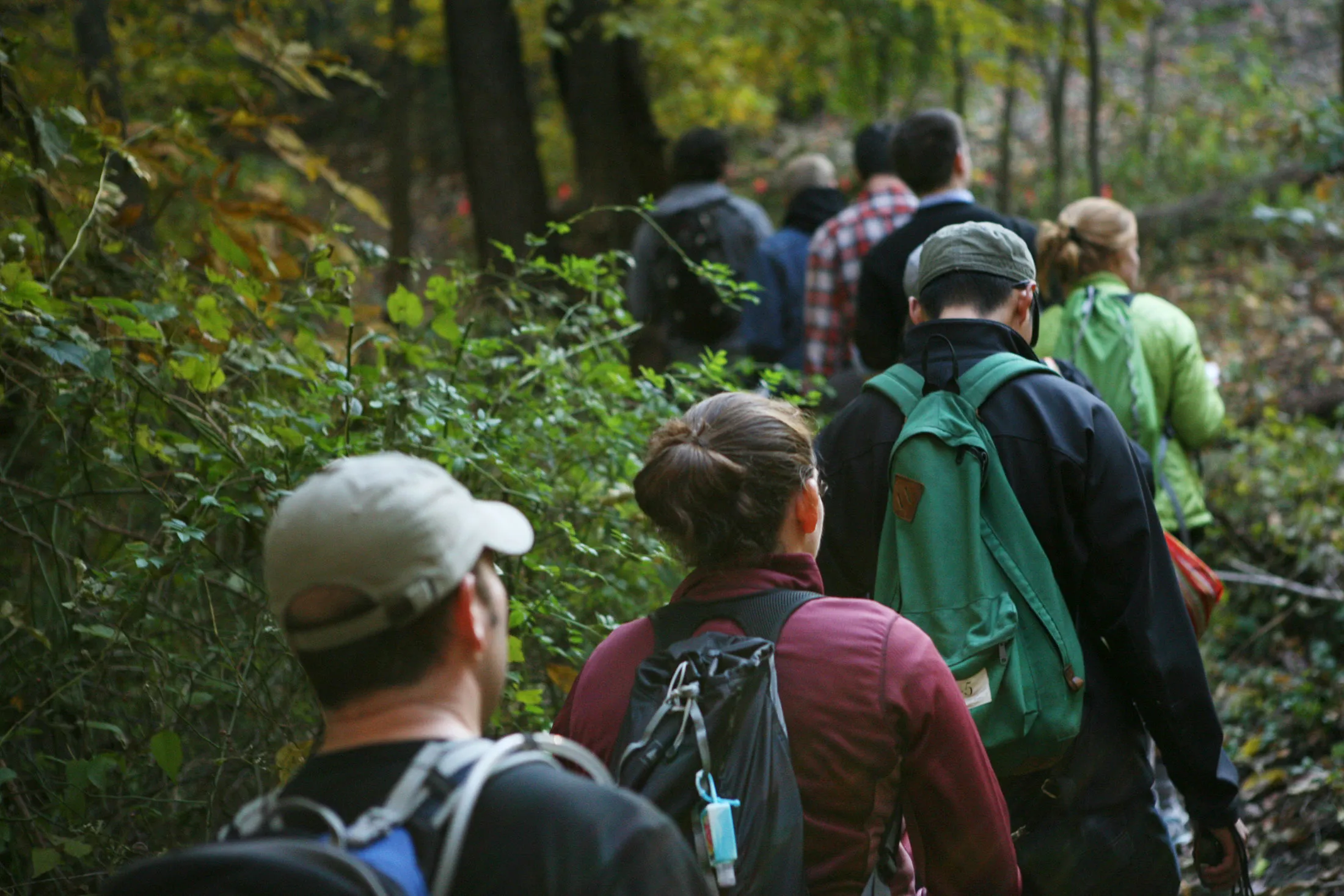 REI employees move through Highbridge Park, staying mostly on a mountain bike trail, during their training.