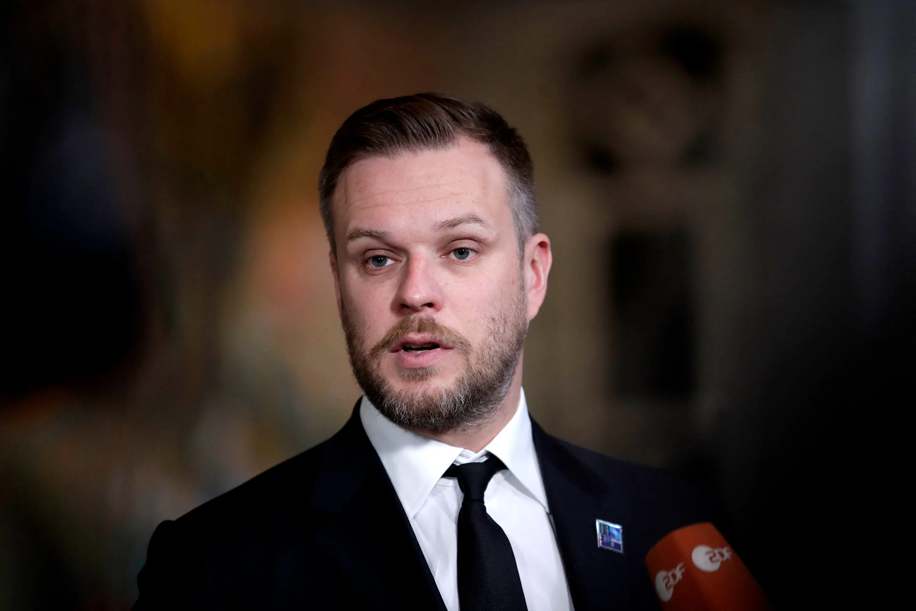 Gabrielius Landsbergis