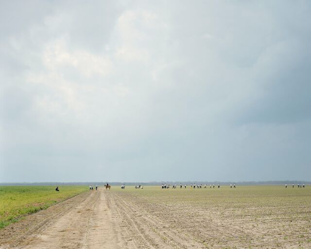 Prisoners in the fields at the Louisiana State Penitentiary, aka Angola, in 2002.