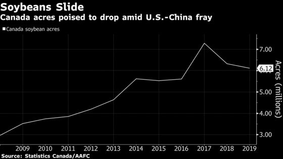 Canada Farmers Swap Soybeans as U.S-China Spat Drags on Prices
