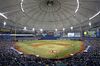 ST. PETERSBURG, FL - APRIL 17: General view as baseball fans watch the Tampa Bay Rays take on the New York Yankees during the sixth inning of a game on April 17, 2014 at Tropicana Field in St. Petersburg, Florida. (Photo by Brian Blanco/Getty Images)