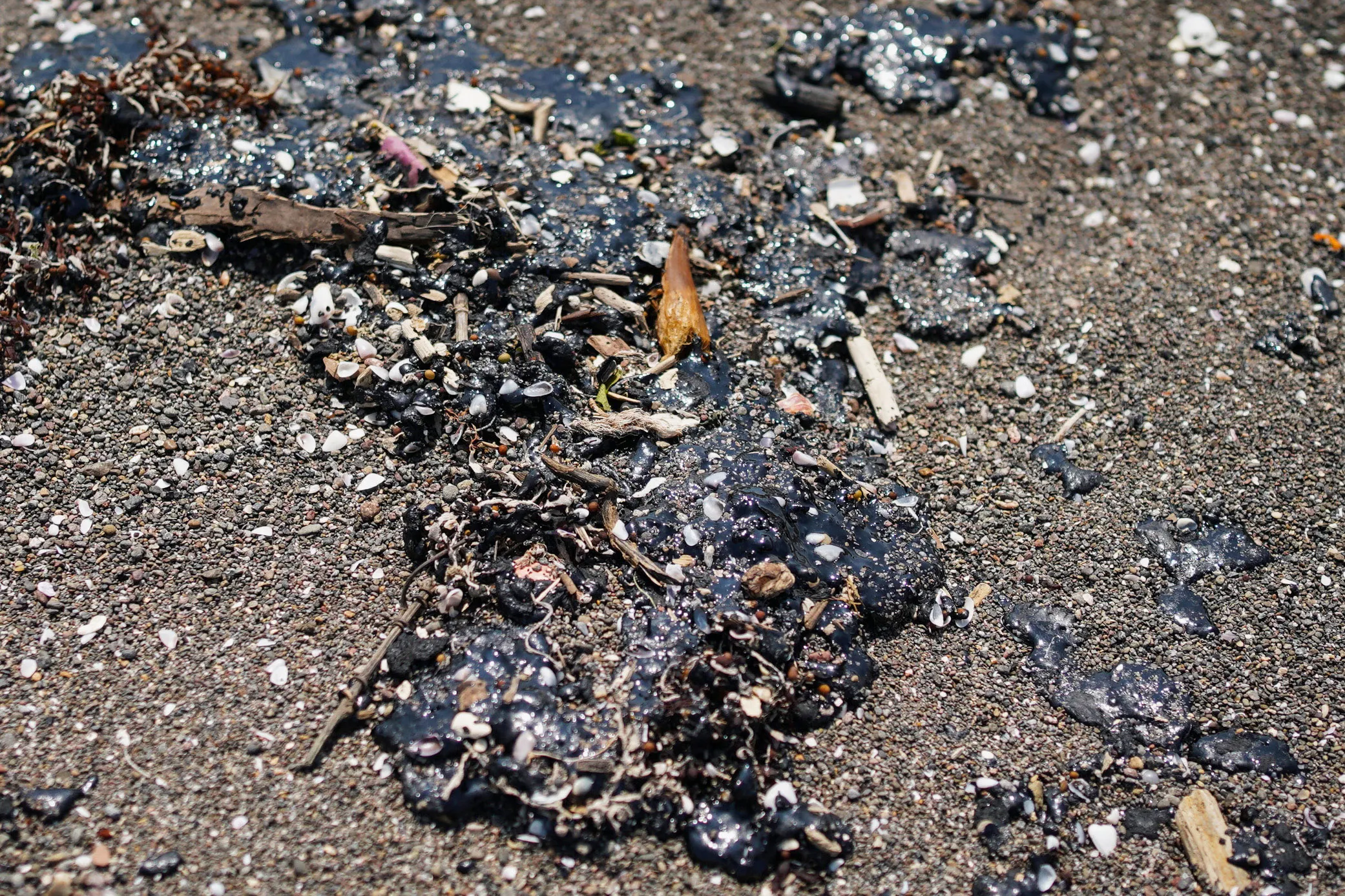 Crude oil slicks on a beach in Alvarado, Veracruz state, Mexico, on March 24.