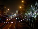 Empty streets in Tehran after nationwide restrictions were imposed, on Nov. 22.