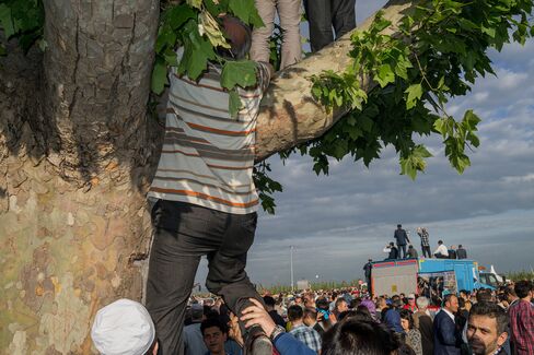 An AKP supporter climbs a tree to get a look at Erdogan.