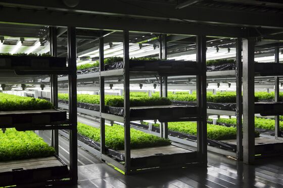 Skyscraper Farms Are About to Go Global