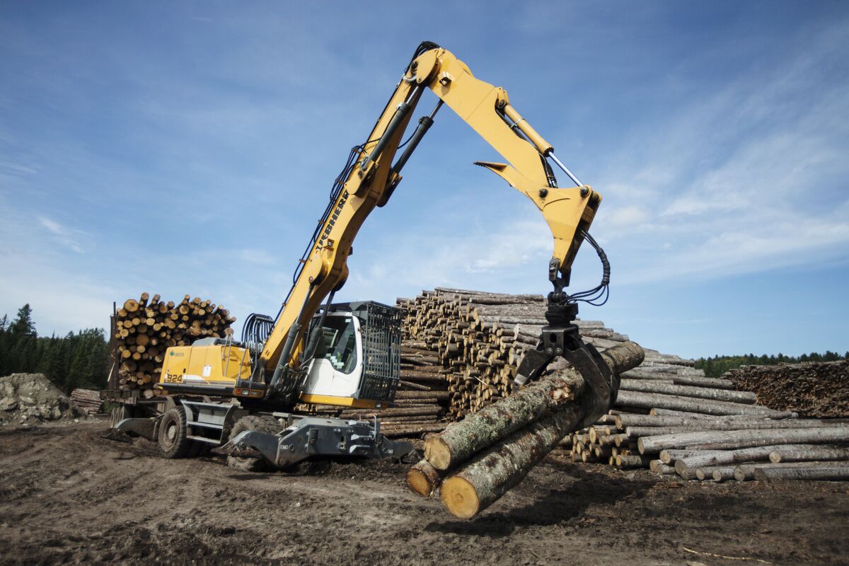 Canada Launches Challenges to US Softwood Lumber Duties
