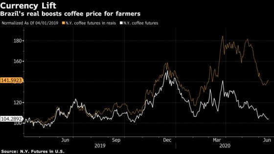 Coffee Giant Brazil Is Ready to Hoard Beans in Virus-Fueled Rout