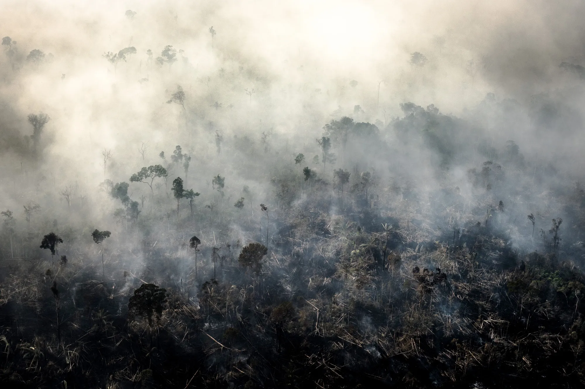 Smoke rises as&nbsp;fires burn in the Amazon rainforest in the Candeias do Jamari region of Porto Velho, Rondonia state, Brazil in 2019.
