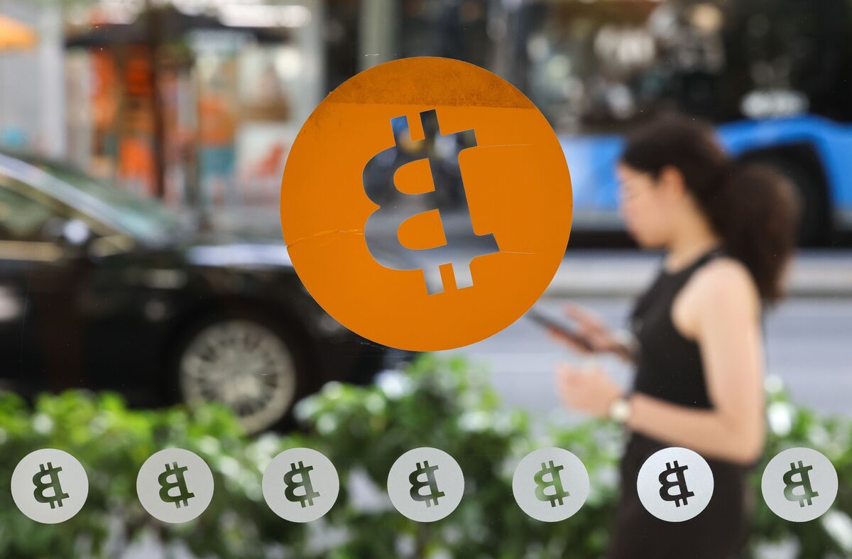 What Is a Crypto Wallet Seed Phrase Explained
