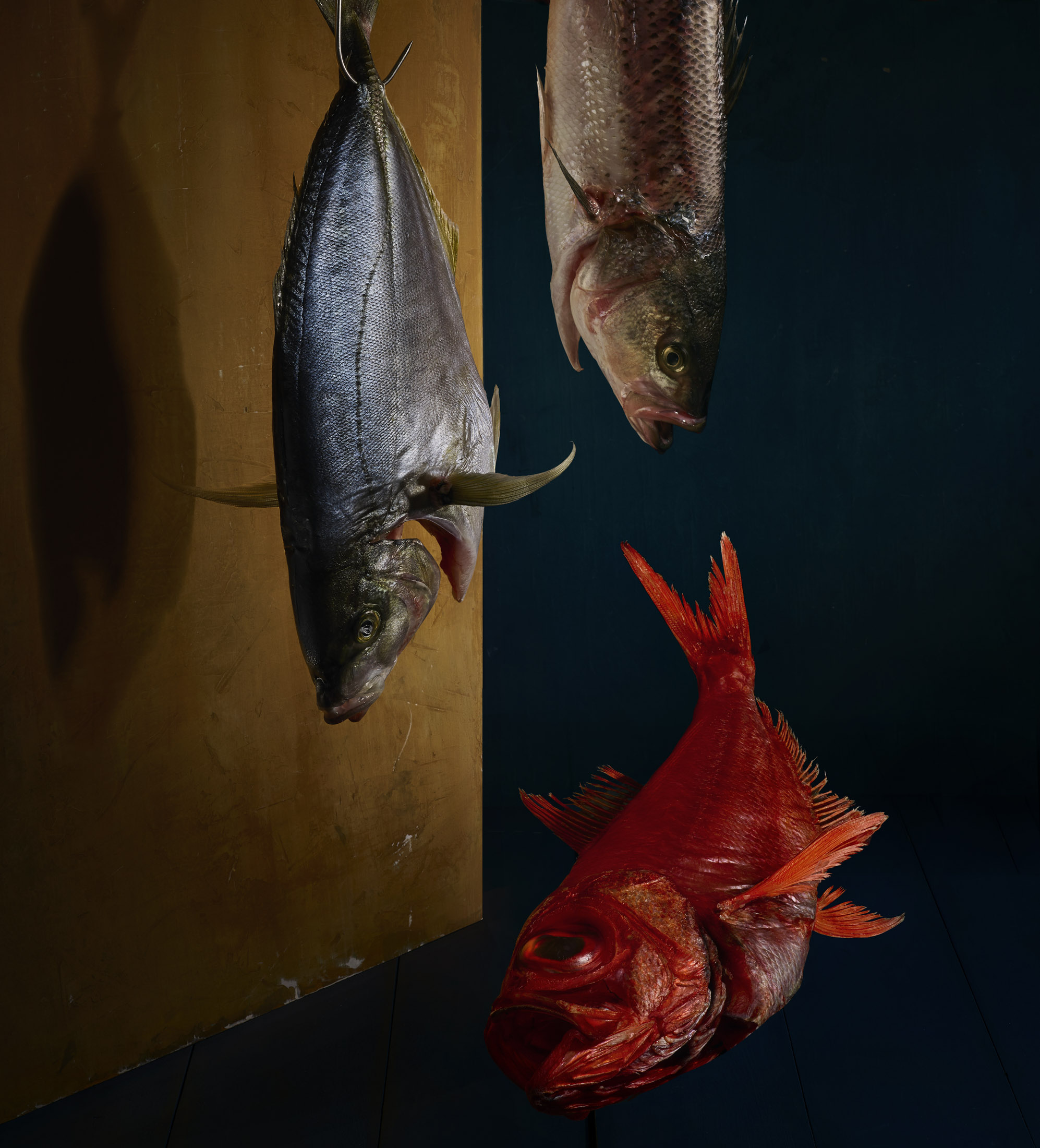 From left: Dry-aged Shima-aji, or Japanese striped jack; striped bass; and golden eye snapper&nbsp;from the Joint Seafood.