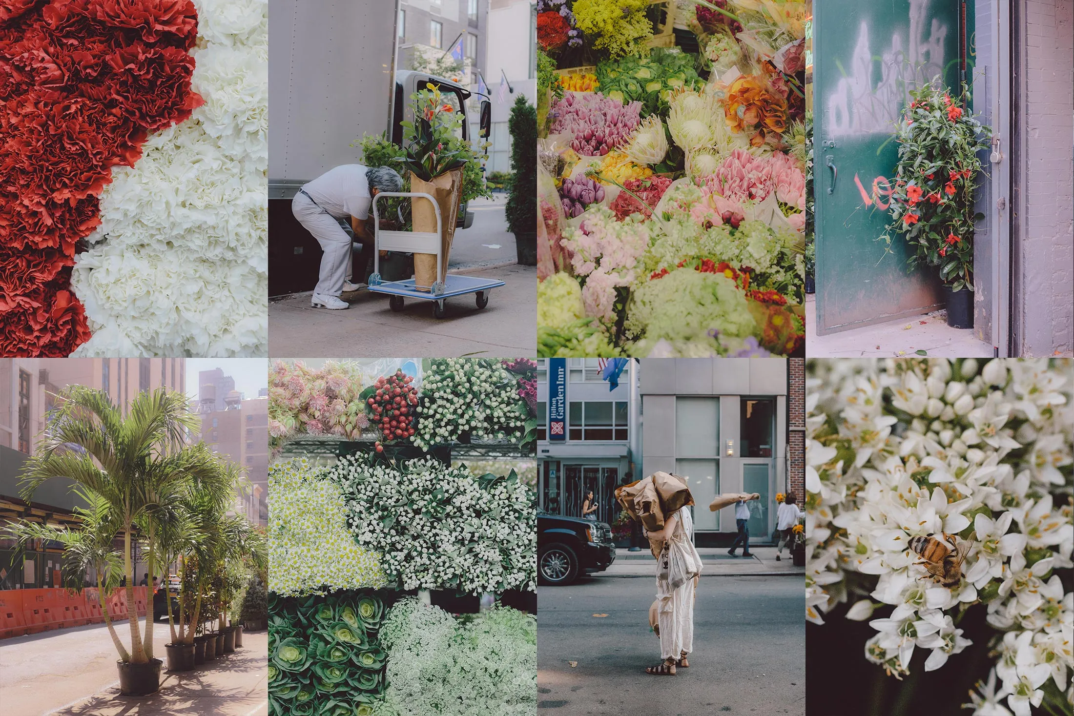 New York’s Flower District, on West 28th Street in Manhattan.&nbsp;