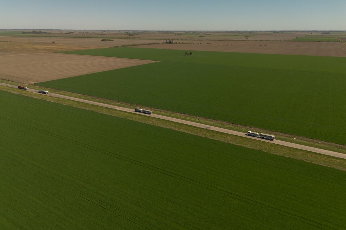 ⚫️ BLOOMBERG: Milei abbassa i dazi sulle esportazioni di soia, mais e grano per sostenere gli agricoltori argentini