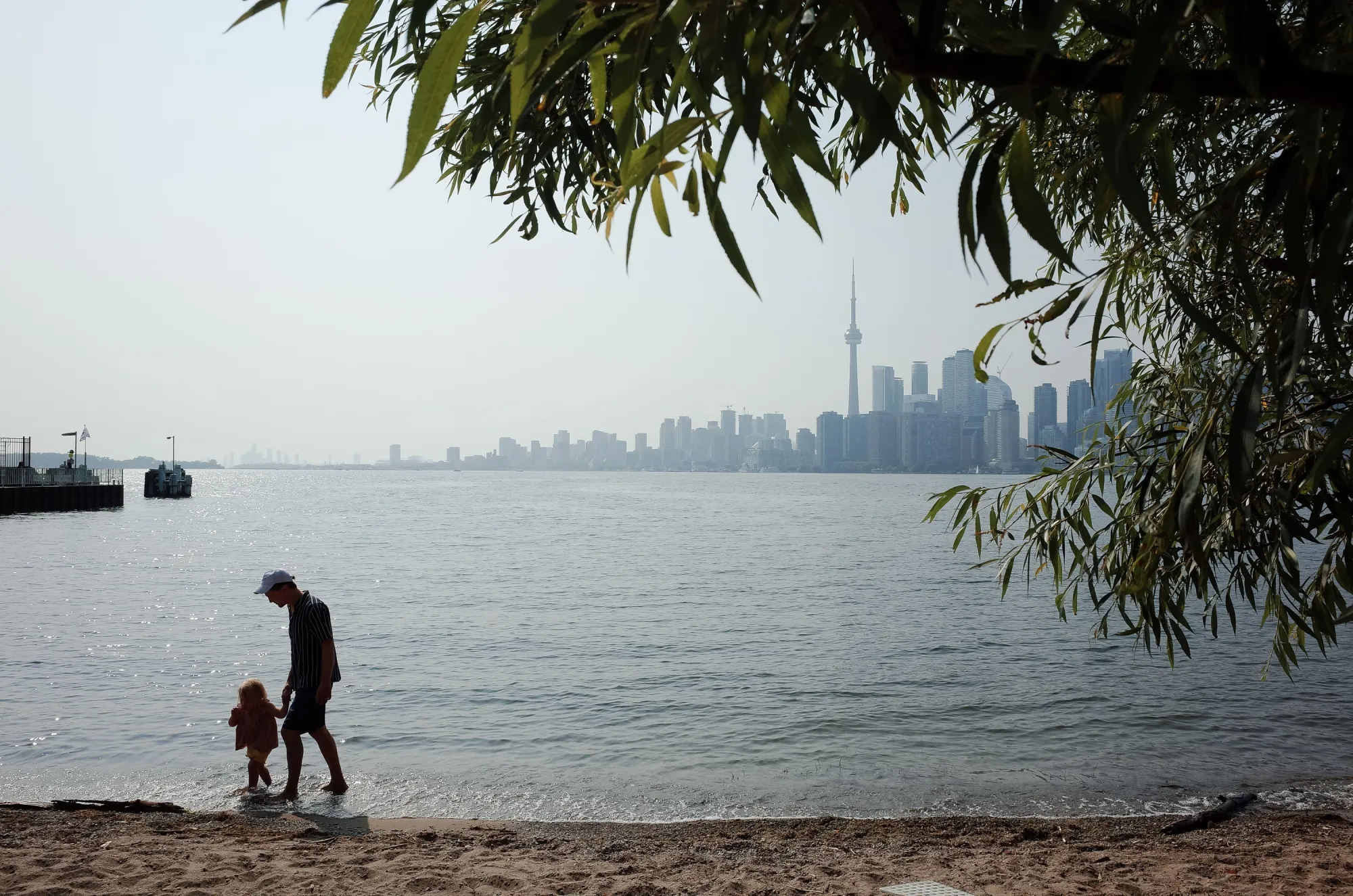 A view of the Toronto skyline from a beach on Ward's Island, part of the Toronto Islands.