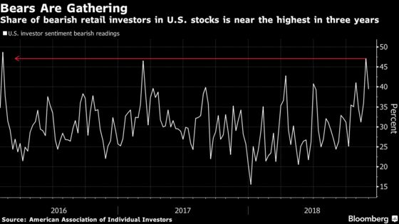 Being Too Bearish on Stocks Is Becoming a Hazard, Investors Say