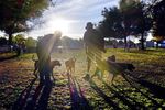 Dogs and humans enjoy a sunny afternoon at L.A.’s Sepulveda Basin Dog Park.  