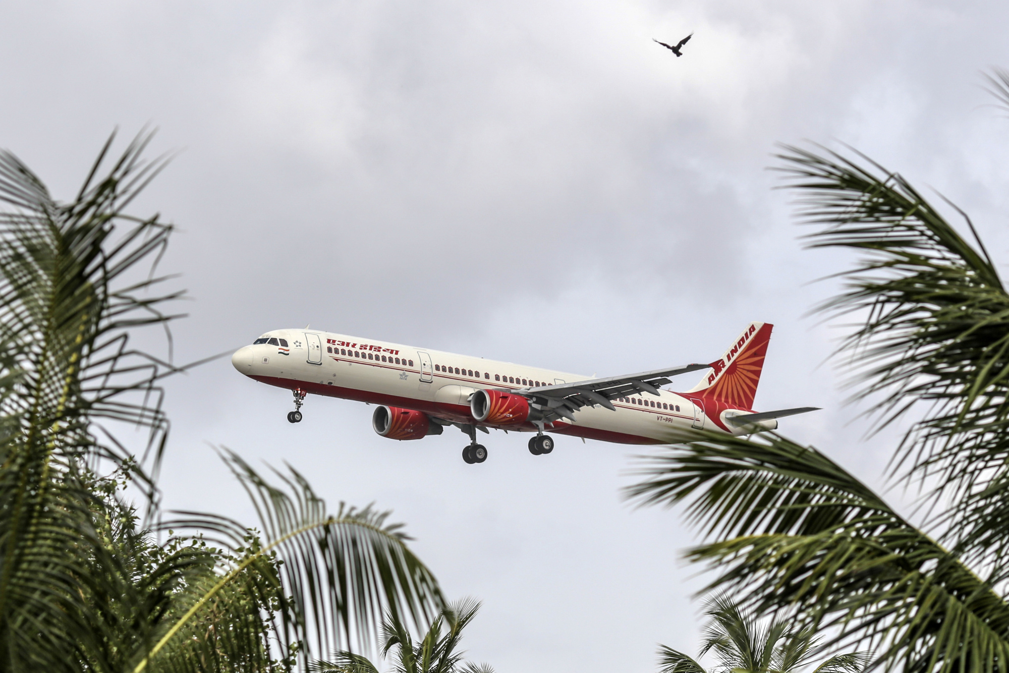 air india bolsagage damage