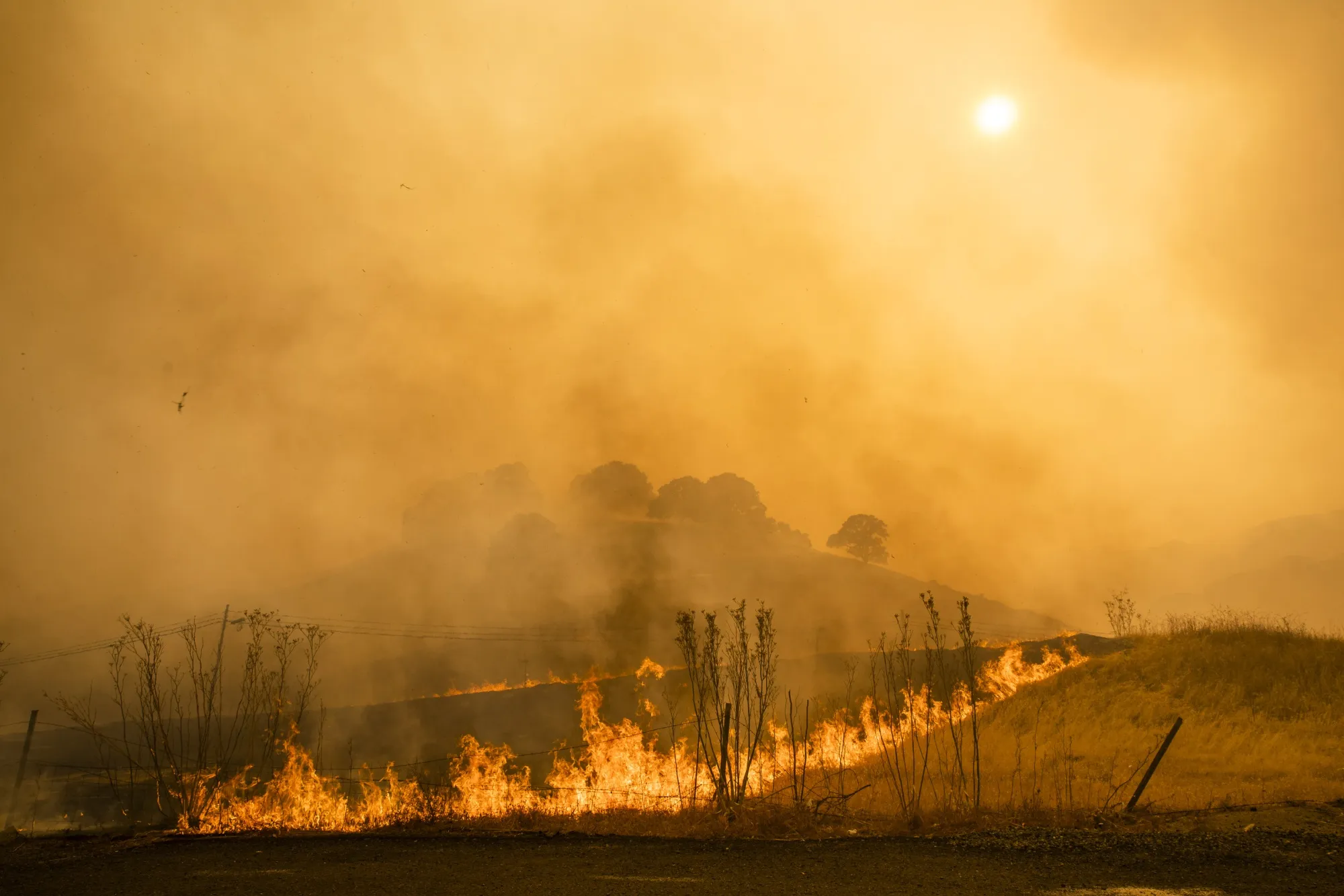 The LNU Lightning Complex fire burns a hillside along Interstate 80 during widespread wildfires in Vacaville, California, U.S., on&nbsp; Aug. 19.