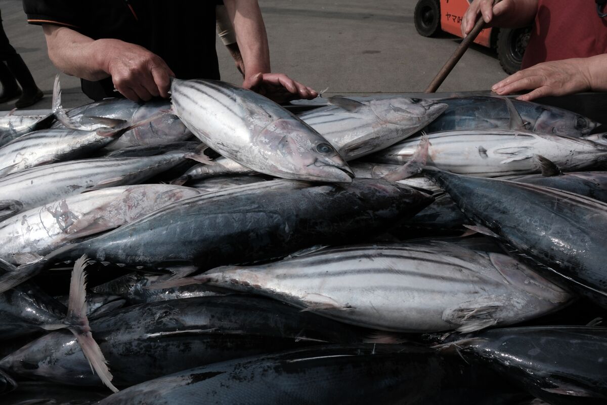 China Resumes Japanese Seafood Imports Excluding Fukushima, Other Prefectures