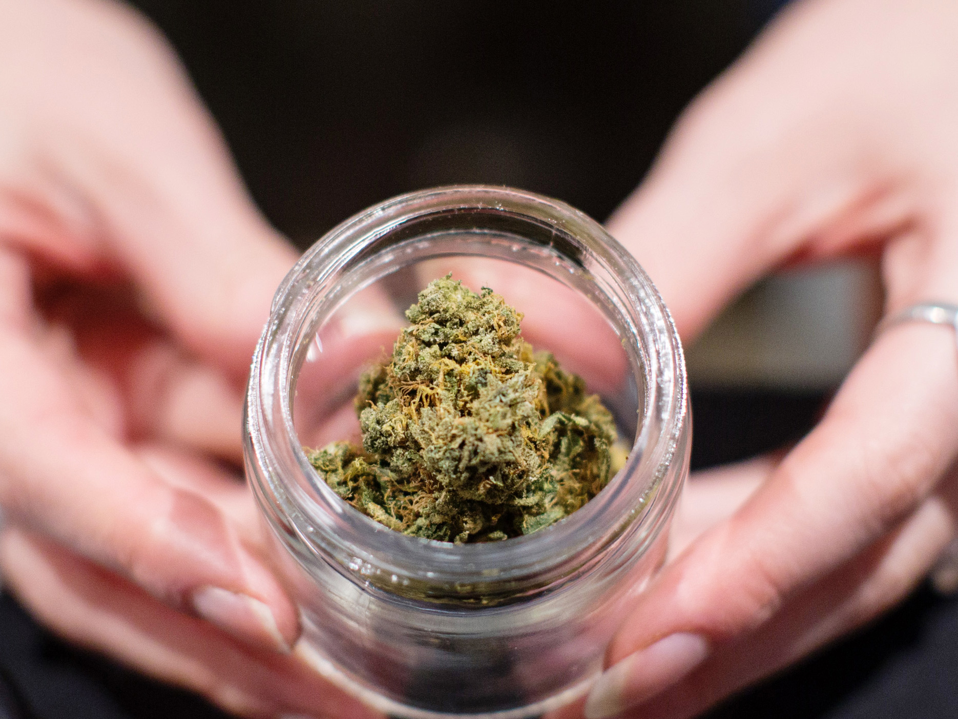 With $800-An-Ounce Bud, Pot Artisans Try To Stick It To The Man
