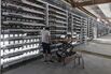 bitcoin china