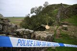 BRITAIN-NATURE-POLICE-TREE