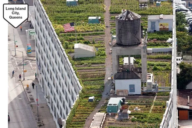 Erected in 1919, the Standard Motor Products Building was bought by Acumen in 2008 for more than $40 million. Brooklyn Grange, an urban farm, grows tomatoes, peppers, eggplants, herbs, and chard on the 40,000-square-foot roof. Inside are other small businesses, including the Jim Henson Co.