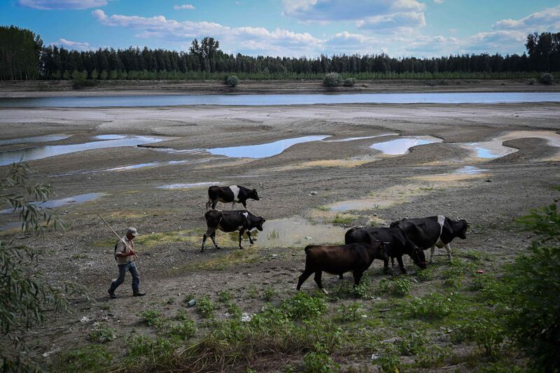 ROMANIA-DROUGHT-DANUBE