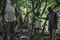 Cocoa Farming In Ivory Coast