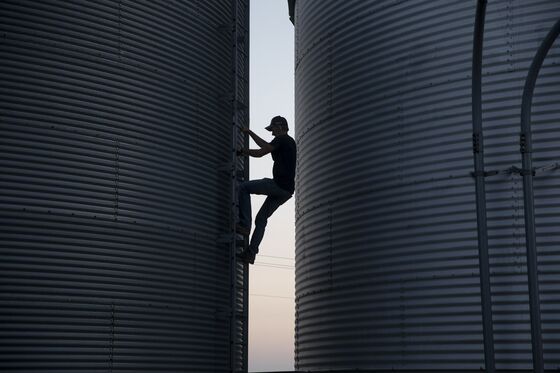 Crop Futures Plunge as Global Economic Woes Cloud Demand Outlook