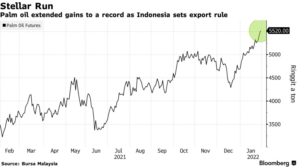 Indonesia S Palm Oil Exports To Ease Only Slightly Despite Curbs Bloomberg