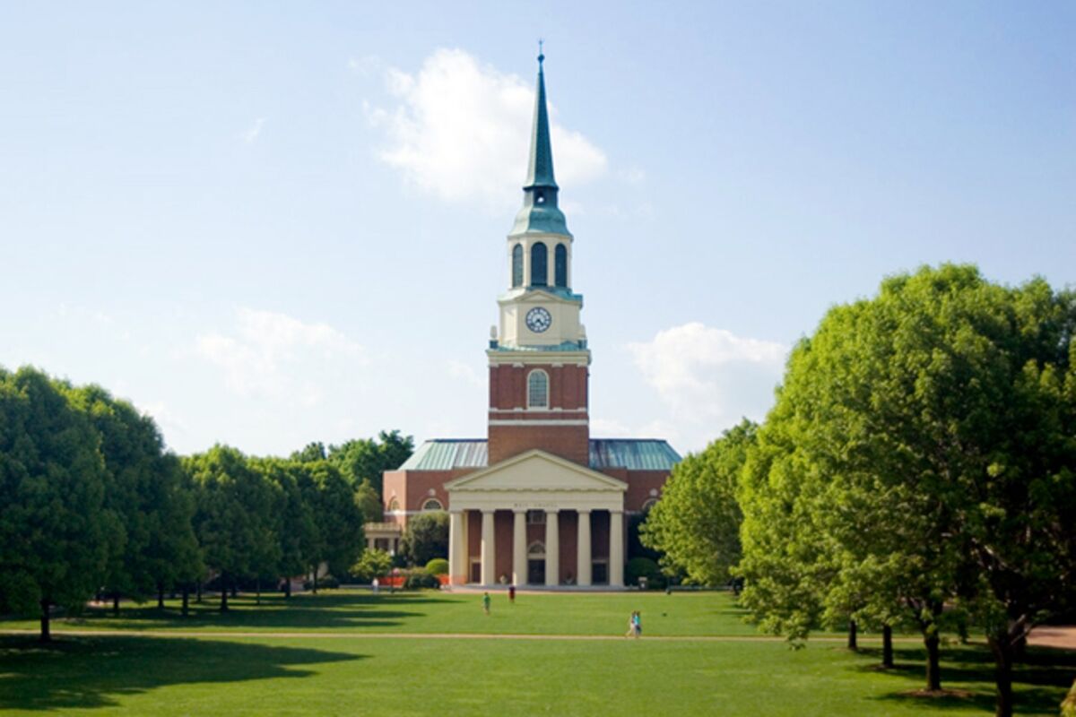 Forest university. Wake Forest University. Часовня ожидания. The Forest.