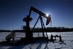 Pumpjacks Pumping Oil