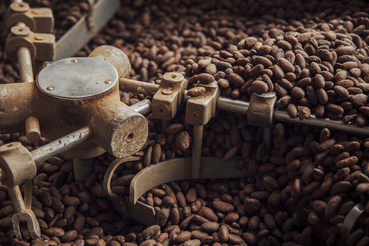 Cocoa’s Uneven Demand Recovery Runs Into Fresh Price Volatility