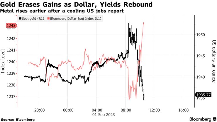 Gold Erases Gains as Dollar, Yields Rebound | Metal rises earlier after a cooling US jobs report