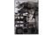An untitled oil and silkscreen work from 1963 by Robert Rauschenberg.