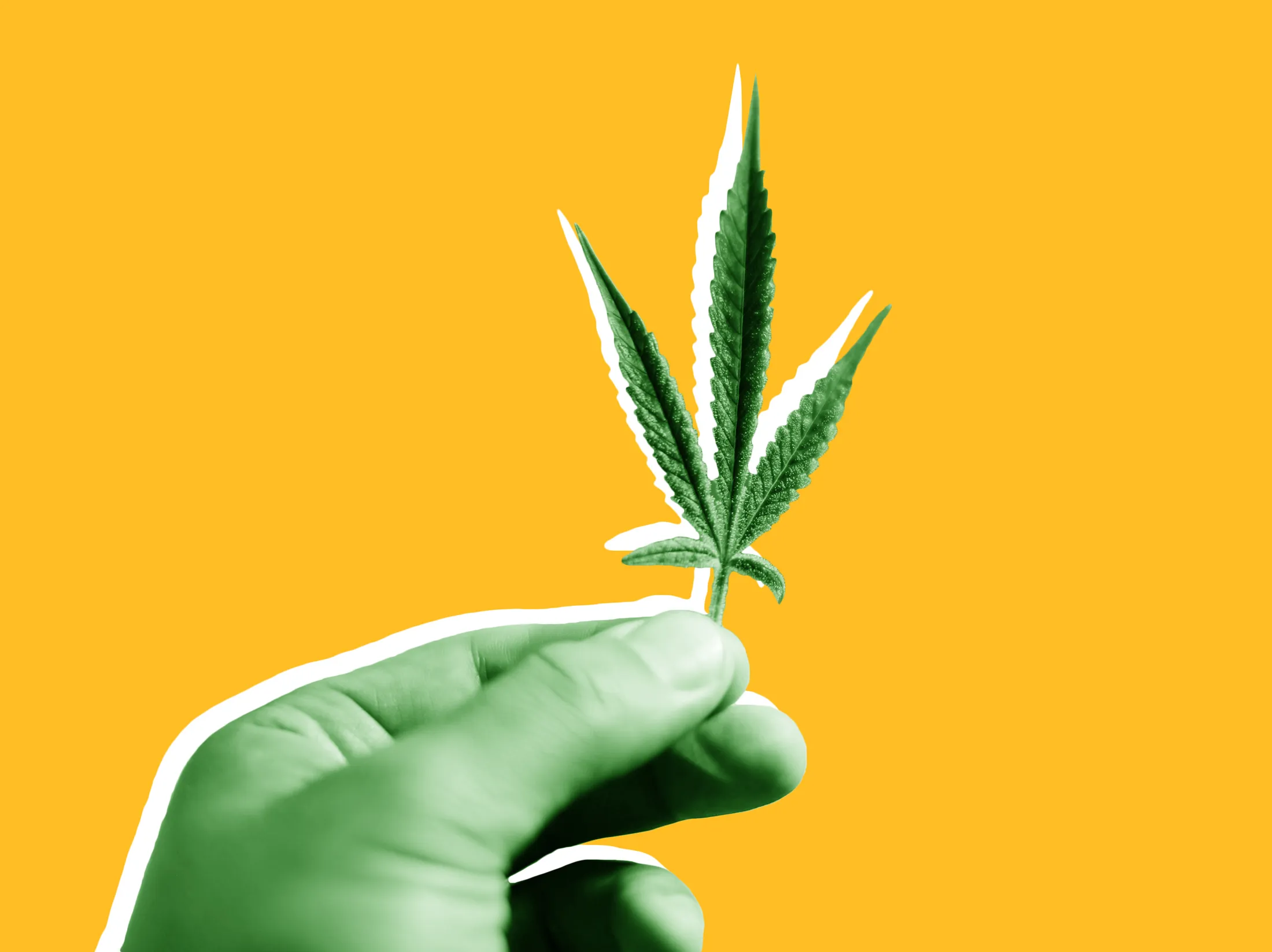 1516125086_marijuana-unlocked