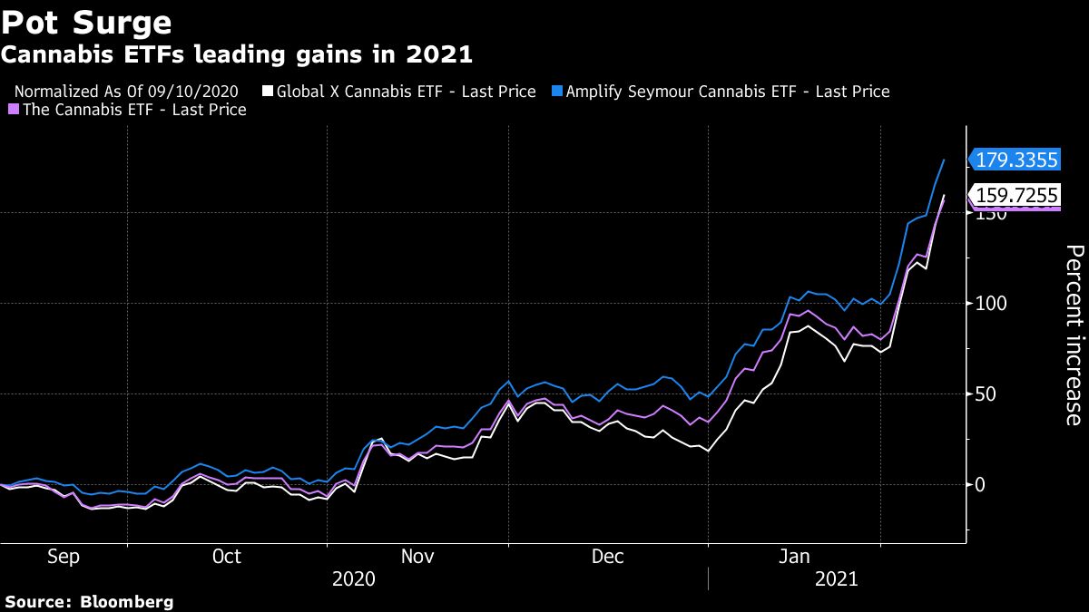 Pot ETF Trio Soars 90% to Open 2021 on Legalization Hopes, M&A - Bloomberg