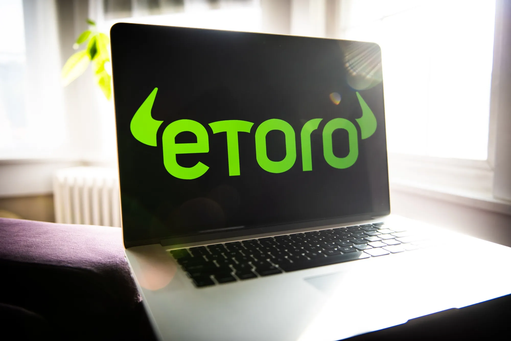 EToro&nbsp;offers a platform where users can trade and follow top investors in assets including stocks and crypto.