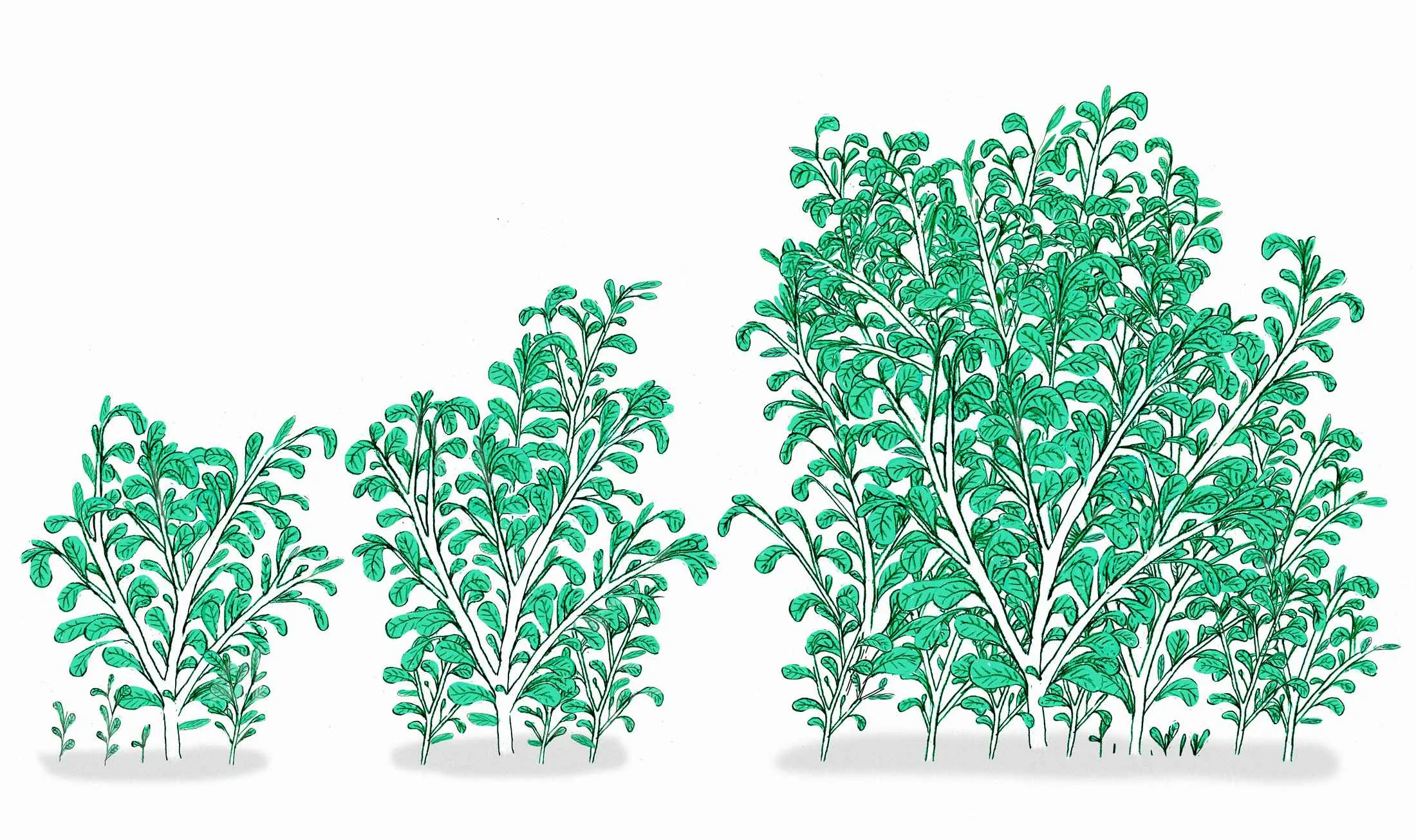 pensions-esg-lede-CMS