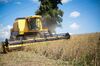 Soybean Harvest As World Soy Reserve Estimate Beats All Forecasts