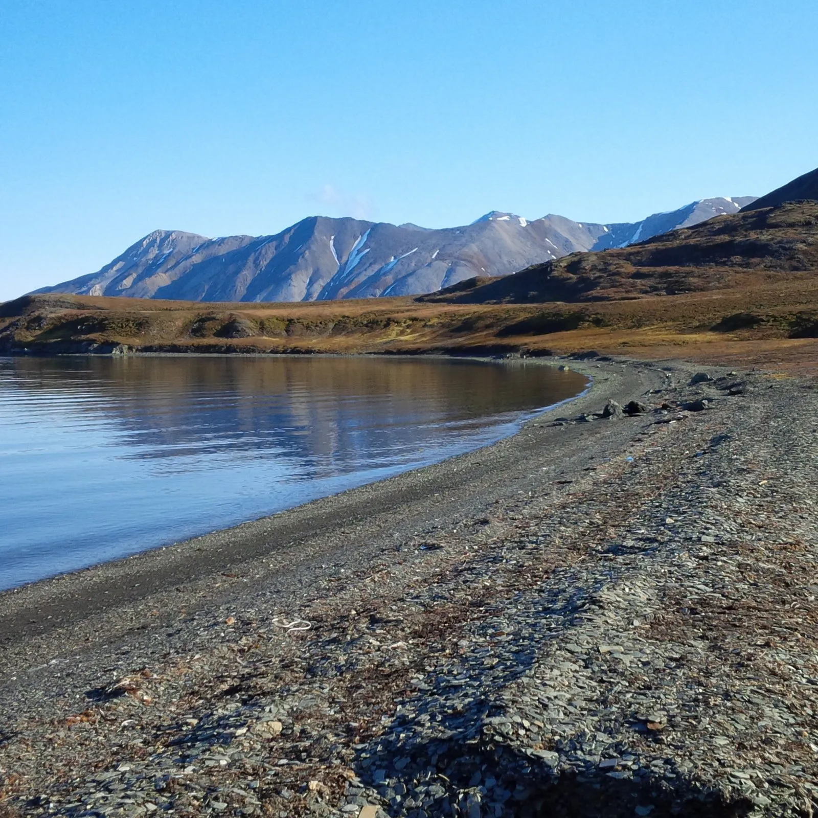 Svalbard in summer, one of the most northerly places on the planet.