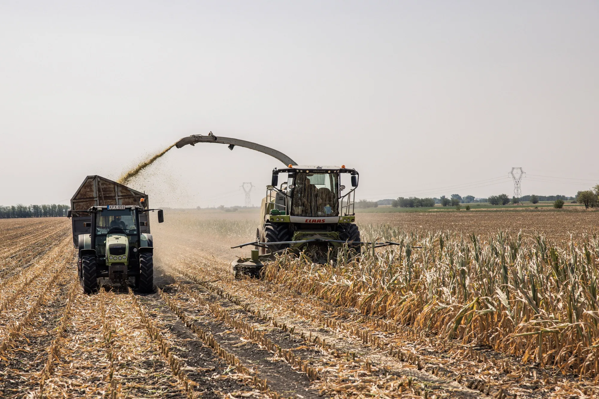 Freshly harvested corn is emptied into a trailer in Hodmezovasarhely, Hungary&nbsp;on August&nbsp;3.