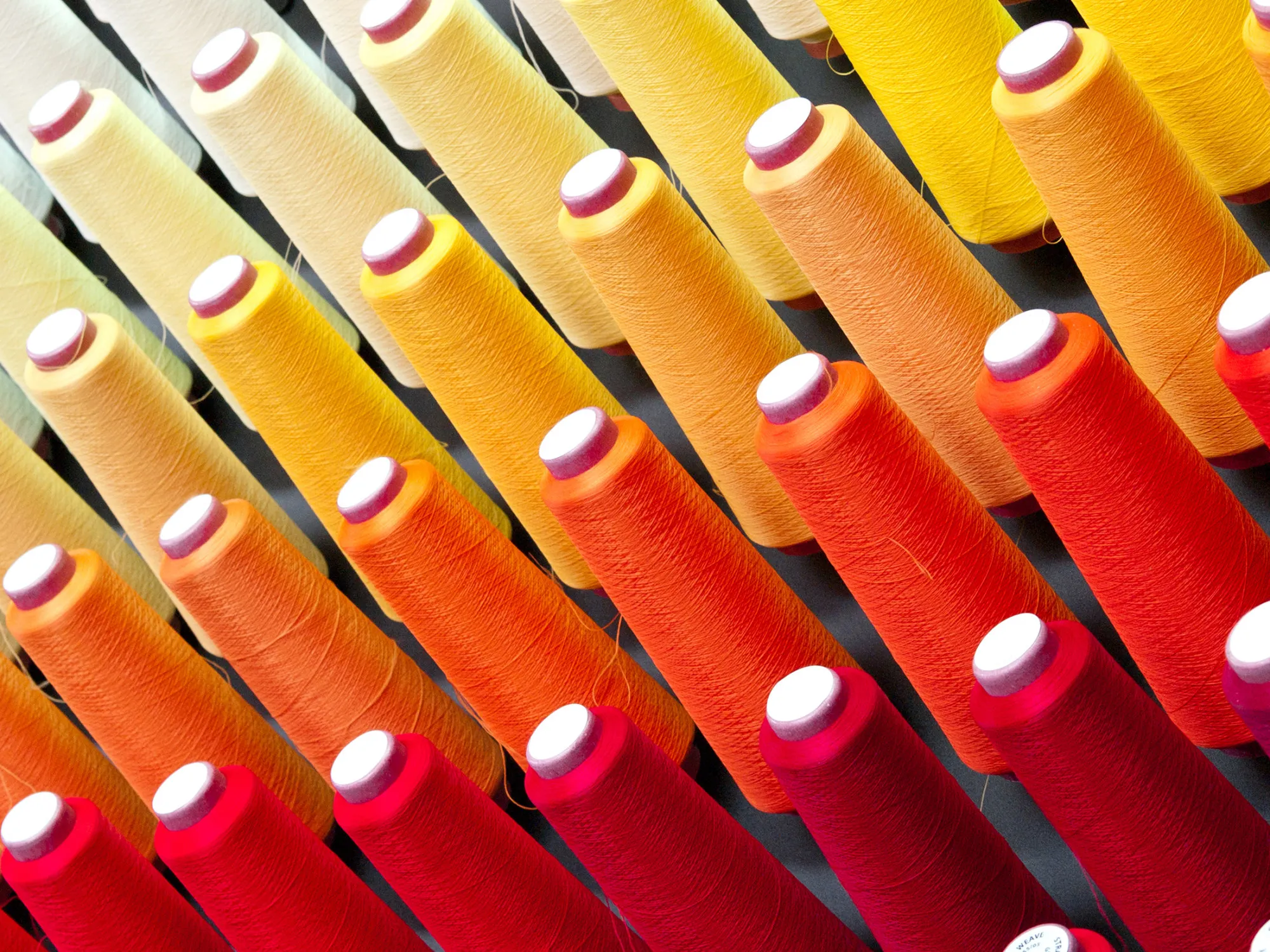 1492592658_RF_POLYESTER