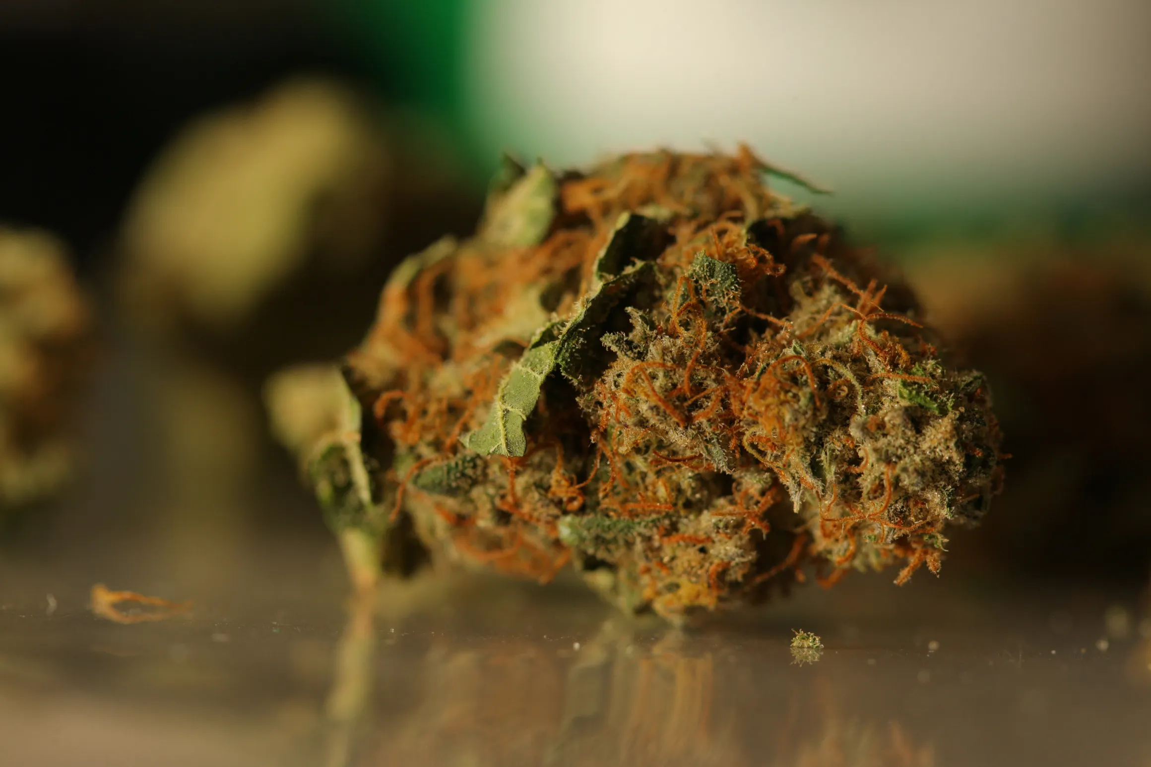 Pot Prices Double as Colorado Retailers Roll Out Green Carpet