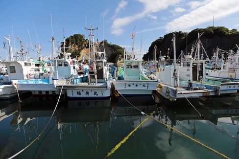 Fukushima Fishermen Ruined by Tepco Now Key in Radiation Fight