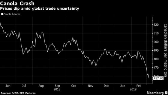 Canola Sinks Amid ‘Challenges’ Faced by Canadian Sellers to China