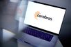 AI Computing And Chip Startup Cerebras Systems Raises $1.1 Billion
