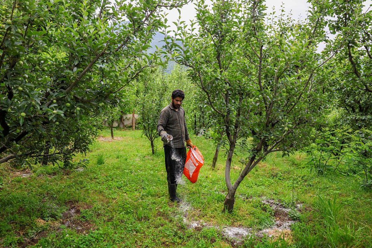 bloomberg.com - Arun Devnath - Bangladesh Gets $1 Billion World Bank Fertilizer, Food Loans