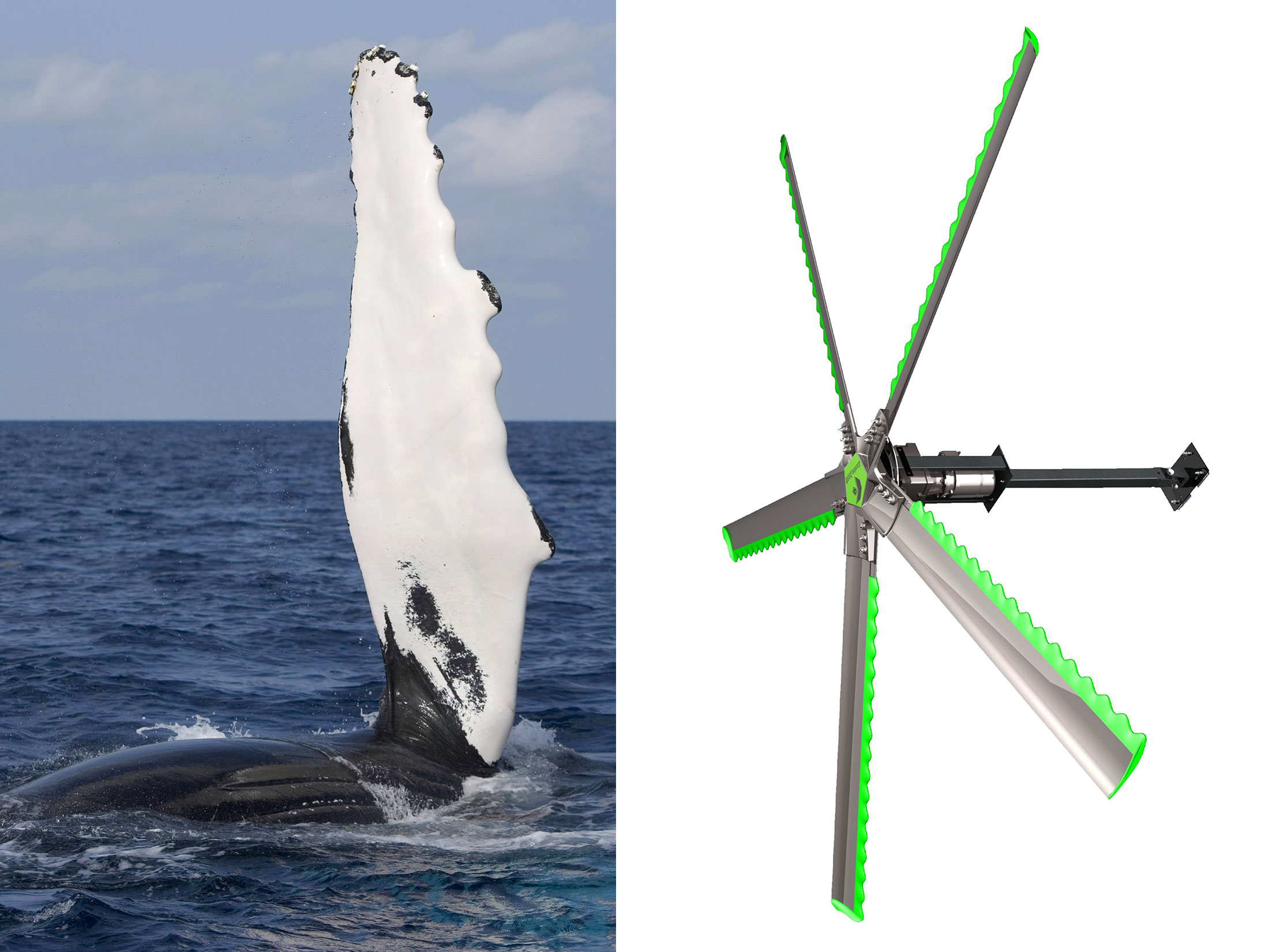 14 Smart Inventions Inspired By Nature Biomimicry Bloomberg    1x 1 