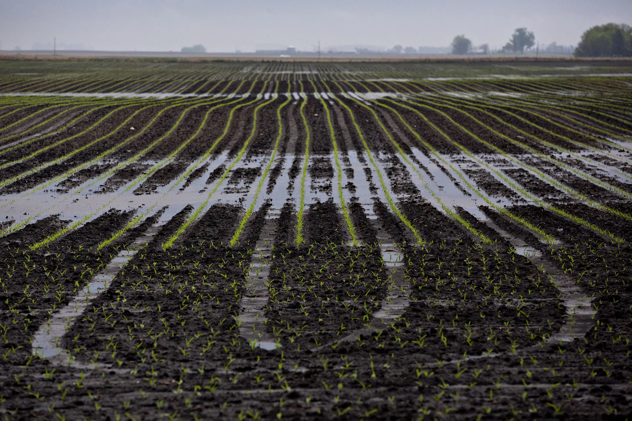 The POET LLC Ethanol Biorefinery As Stockpiles Of U.S. Corn Ethanol Sinks